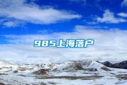 985上海落户