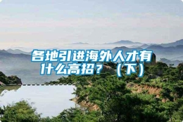 各地引进海外人才有什么高招？（下）