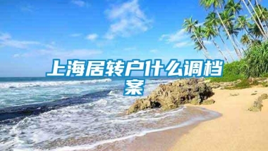 上海居转户什么调档案