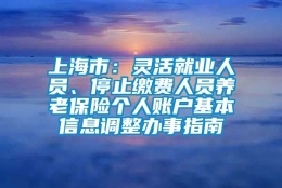 上海市：灵活就业人员、停止缴费人员养老保险个人账户基本信息调整办事指南