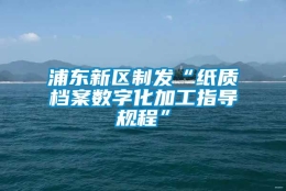 浦东新区制发“纸质档案数字化加工指导规程”