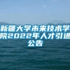 新疆大学未来技术学院2022年人才引进公告