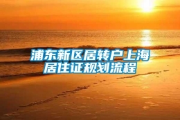 浦东新区居转户上海居住证规划流程