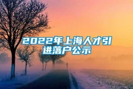 2022年上海人才引进落户公示