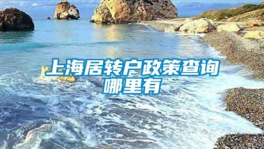 上海居转户政策查询哪里有