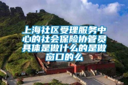 上海社区受理服务中心的社会保险协管员具体是做什么的是做窗口的么