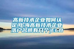 高新技术企业如何认定(上海高新技术企业落户名额有几个)ELB