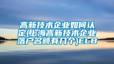 高新技术企业如何认定(上海高新技术企业落户名额有几个)ELB