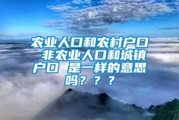 农业人口和农村户口 非农业人口和城镇户口 是一样的意思吗？？？