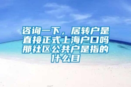 咨询一下，居转户是直接正式上海户口吗那社区公共户是指的什么目