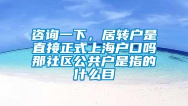 咨询一下，居转户是直接正式上海户口吗那社区公共户是指的什么目