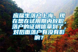 应届生落户上海，现在想在试用期内辞职，落户的证明信拿到了，对后面落户有没有影响？