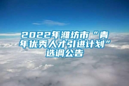 2022年潍坊市“青年优秀人才引进计划”选调公告