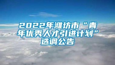 2022年潍坊市“青年优秀人才引进计划”选调公告