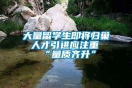 大量留学生即将归巢 人才引进应注重“量质齐升”