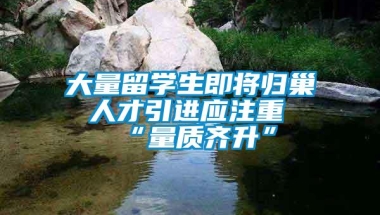 大量留学生即将归巢 人才引进应注重“量质齐升”