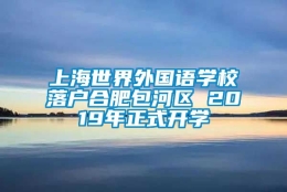 上海世界外国语学校落户合肥包河区 2019年正式开学