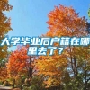 大学毕业后户籍在哪里去了？