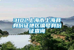 3102上海市上海县身份证地区编号身份证查询