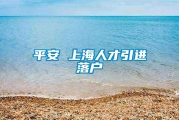 平安 上海人才引进落户