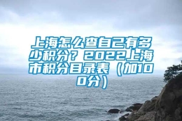 上海怎么查自己有多少积分？2022上海市积分目录表（加100分）