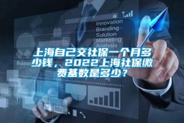 上海自己交社保一个月多少钱，2022上海社保缴费基数是多少？