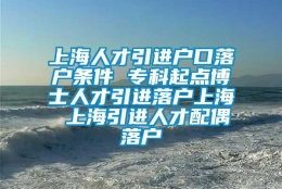 上海人才引进户口落户条件 专科起点博士人才引进落户上海 上海引进人才配偶落户