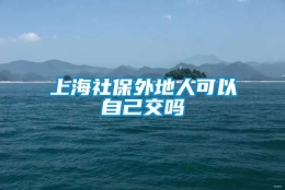 上海社保外地人可以自己交吗