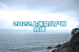 2022上海婴儿户口办理