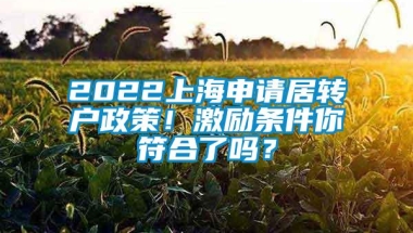 2022上海申请居转户政策！激励条件你符合了吗？