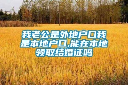 我老公是外地户口我是本地户口,能在本地领取结婚证吗