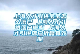 上海人才引进宝宝怎么落户 上海人才引进落户概率 上海人才引进落户批复有效期