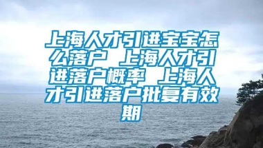 上海人才引进宝宝怎么落户 上海人才引进落户概率 上海人才引进落户批复有效期