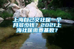 上海自己交社保一个月多少钱？2021上海社保缴费基数？