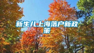 新生儿上海落户新政策