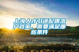 上海人才引进配偶落户政策，需要满足哪些条件