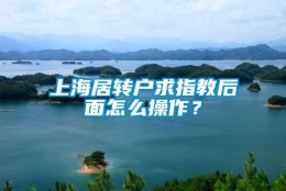 上海居转户求指教后面怎么操作？