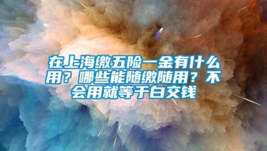 在上海缴五险一金有什么用？哪些能随缴随用？不会用就等于白交钱