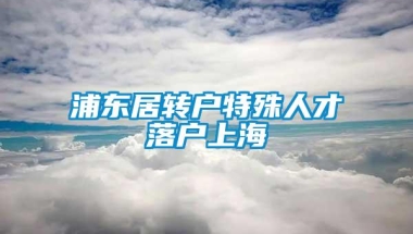 浦东居转户特殊人才落户上海