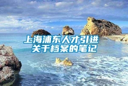 上海浦东人才引进 关于档案的笔记