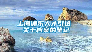 上海浦东人才引进 关于档案的笔记