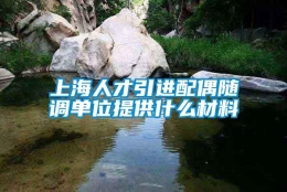 上海人才引进配偶随调单位提供什么材料