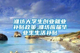 潍坊大学生创业就业补贴政策,潍坊应届毕业生生活补贴