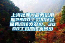 上海社保问题我试用期2500工资扣掉社保我应该发多少，3000工资应该发多少