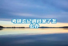 考研忘记调档案了怎么办