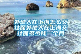 外地人在上海怎么交社保外地人在上海交社保多少钱一个月