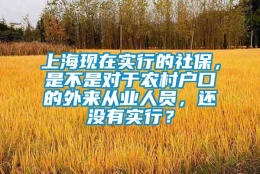 上海现在实行的社保，是不是对于农村户口的外来从业人员，还没有实行？