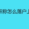 高级职称怎么落户上海吗