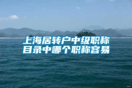 上海居转户中级职称目录中哪个职称容易