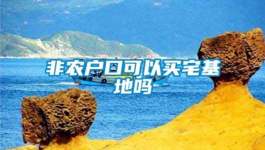 非农户口可以买宅基地吗